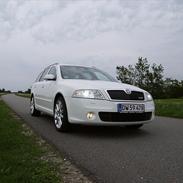 Skoda Octavia RS 2,0 TDI DSG