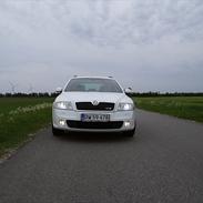 Skoda Octavia RS 2,0 TDI DSG