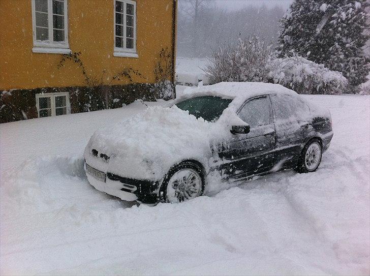 BMW E46 316i billede 9