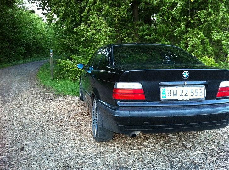 BMW e36  billede 2