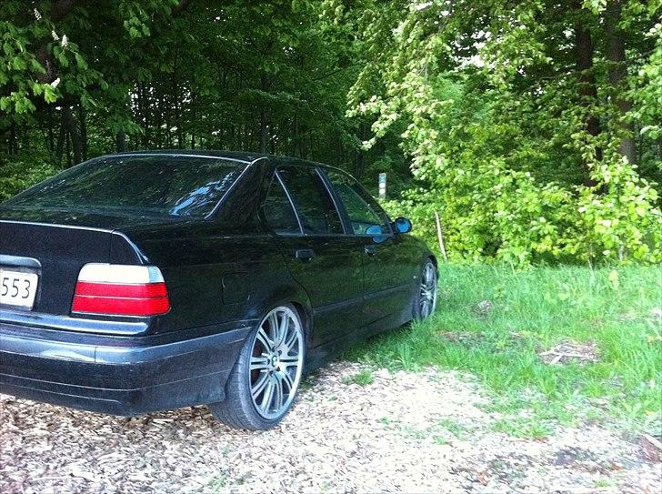 BMW e36  billede 3