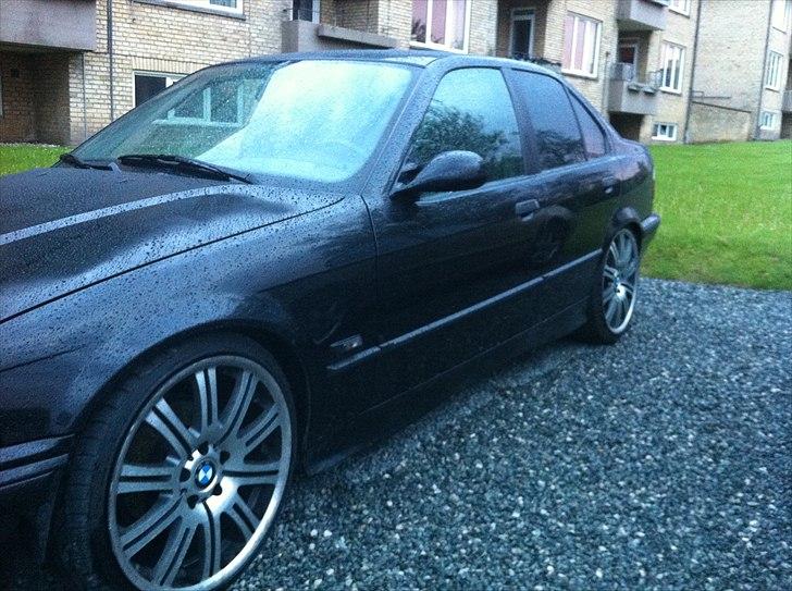 BMW e36  billede 8