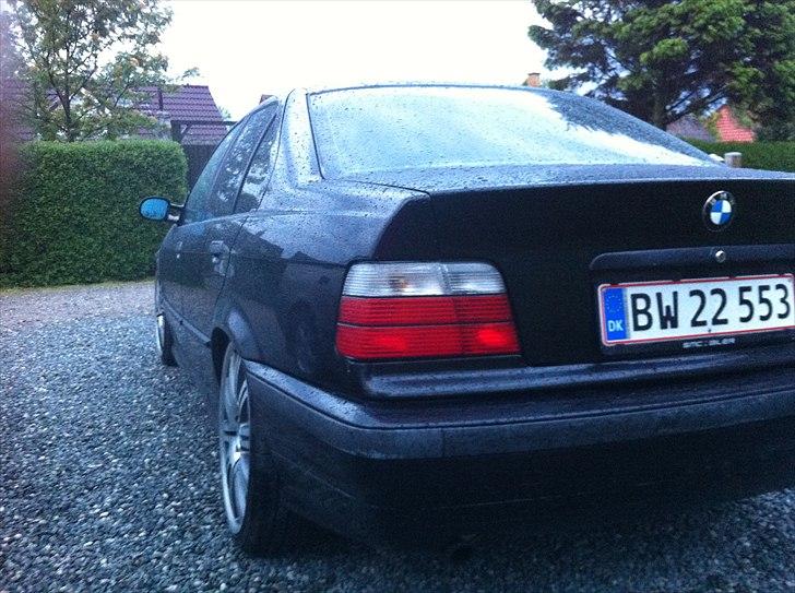BMW e36  billede 10
