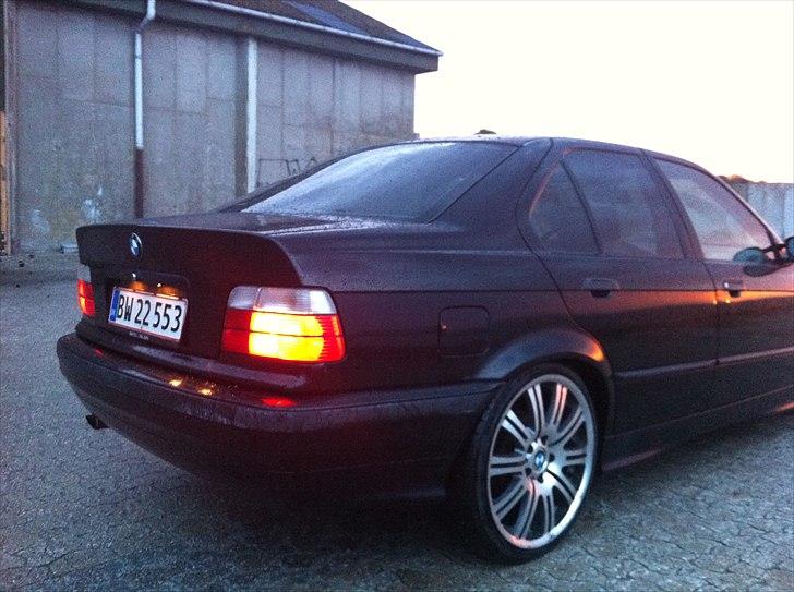 BMW e36  billede 15