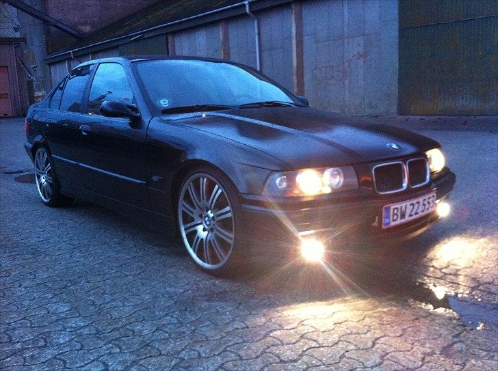 BMW e36  billede 16
