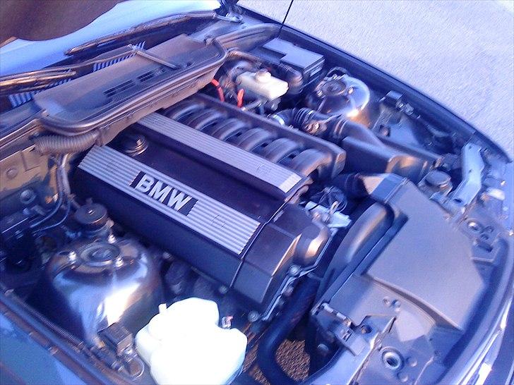 BMW 325i cab billede 4