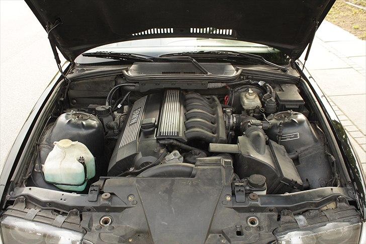 BMW 328i Cab billede 7