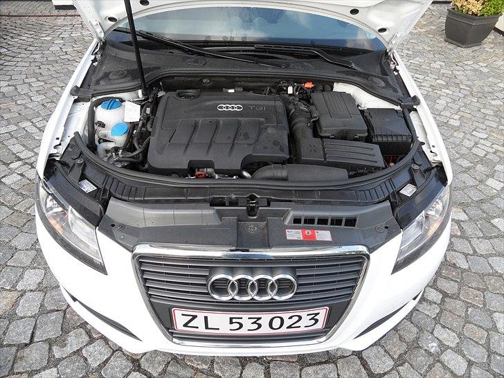 Audi A3 2,0 TDI - Miss Malibu billede 8