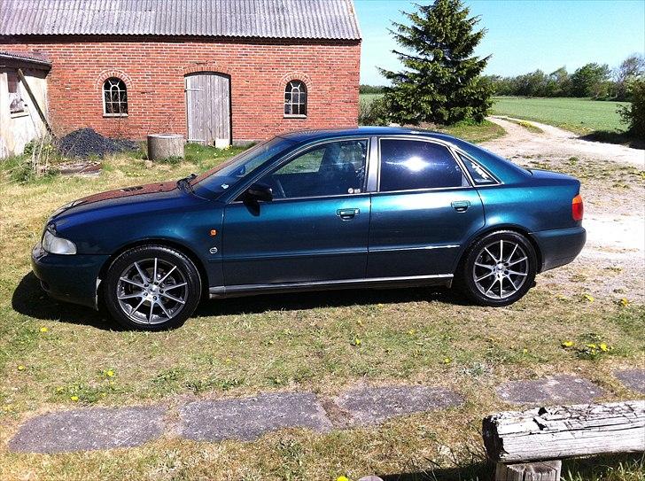 Audi A4 B5 billede 8