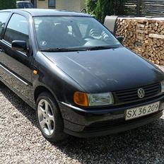 VW Polo 6n