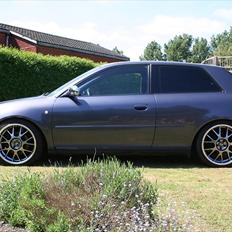 Audi A3 1.8T [Tidl. bil]