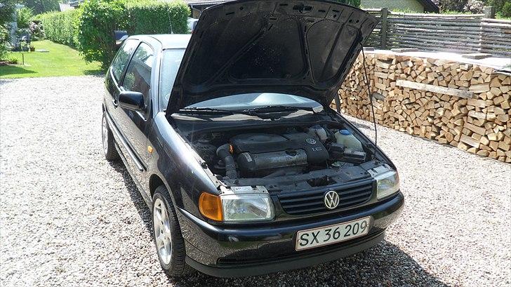 VW Polo 6n billede 14