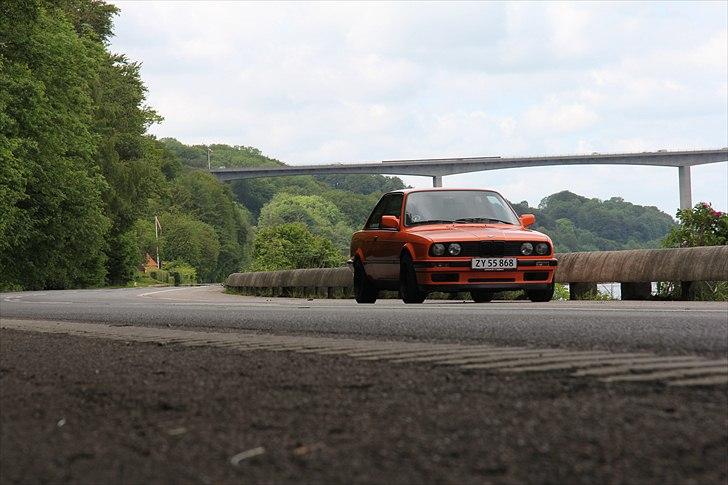 BMW E30 / 318IS / Classico billede 16