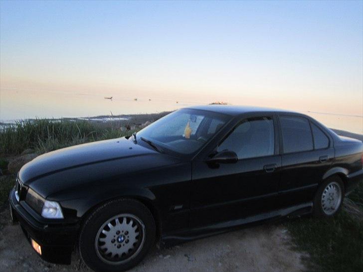 BMW e36 billede 7