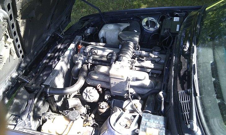 BMW e30 cab billede 8