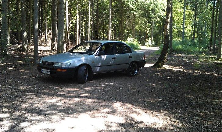 Toyota Corolla sedan billede 1