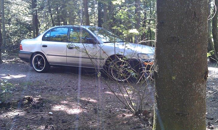 Toyota Corolla sedan billede 3