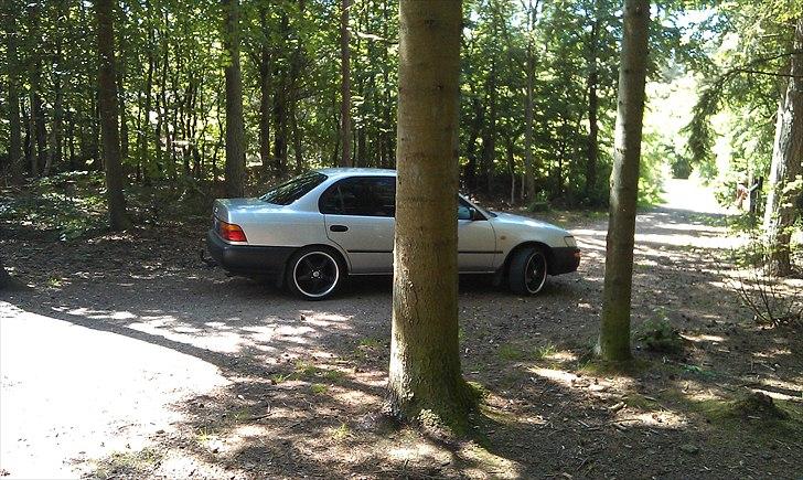 Toyota Corolla sedan billede 4