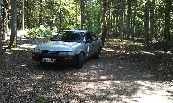 Toyota Corolla sedan billede 5
