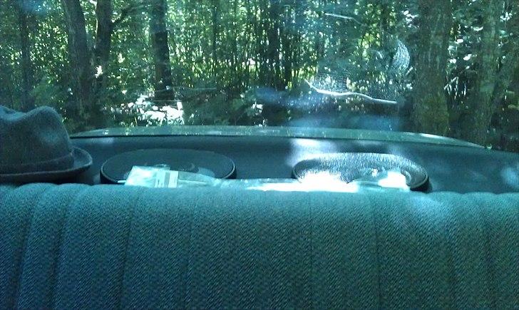 Toyota Corolla sedan billede 12