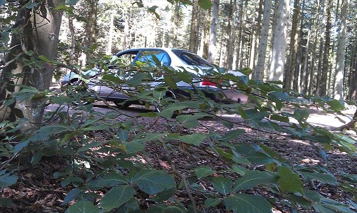 Toyota Corolla sedan billede 13