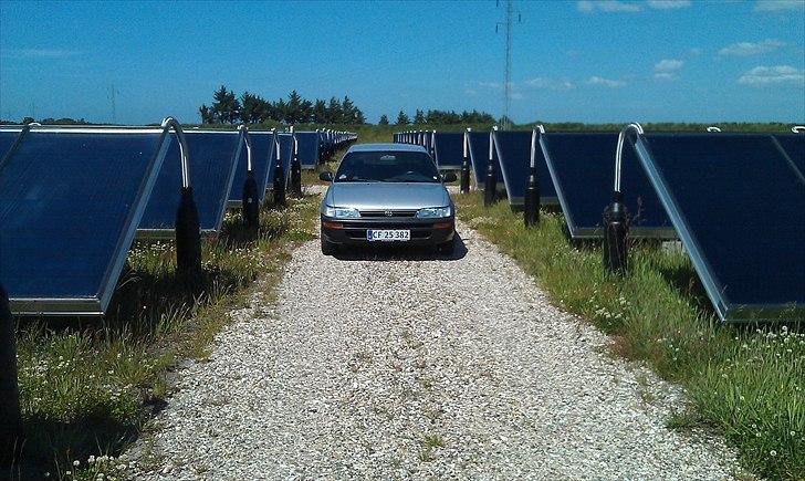 Toyota Corolla sedan billede 14