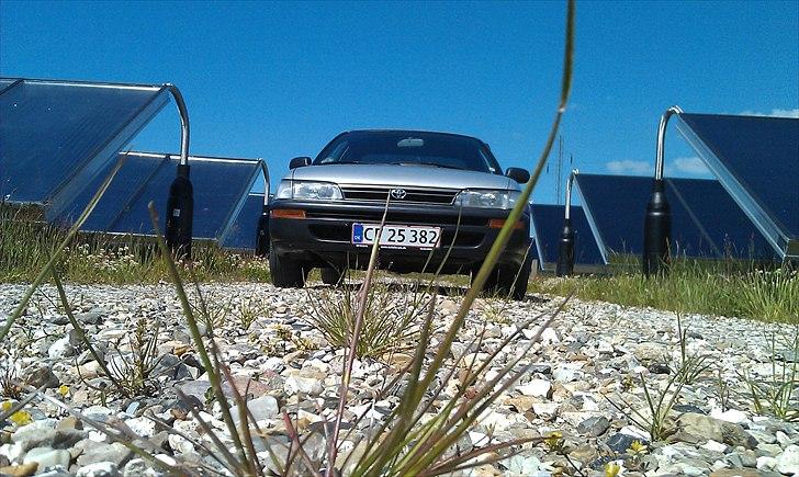 Toyota Corolla sedan billede 15