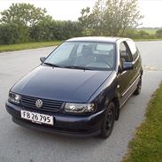 VW Polo 6n