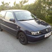 VW Polo 6n