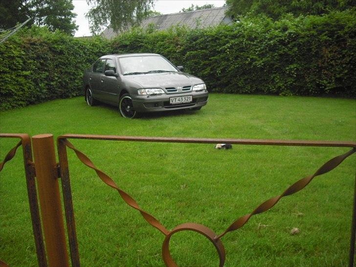 Nissan Primera P11 GX ( SOLGT ) billede 1