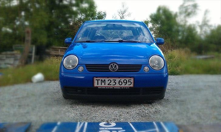 VW Lupo - da den blev sænket billede 7