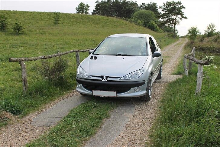 Peugeot 206 2.0 HDi XS - Idyllisk landbillede ved en lille bro tæt på Bølling Sø billede 3