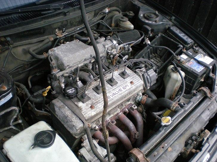 Toyota Corolla [Black GSi] SOLGT! billede 12