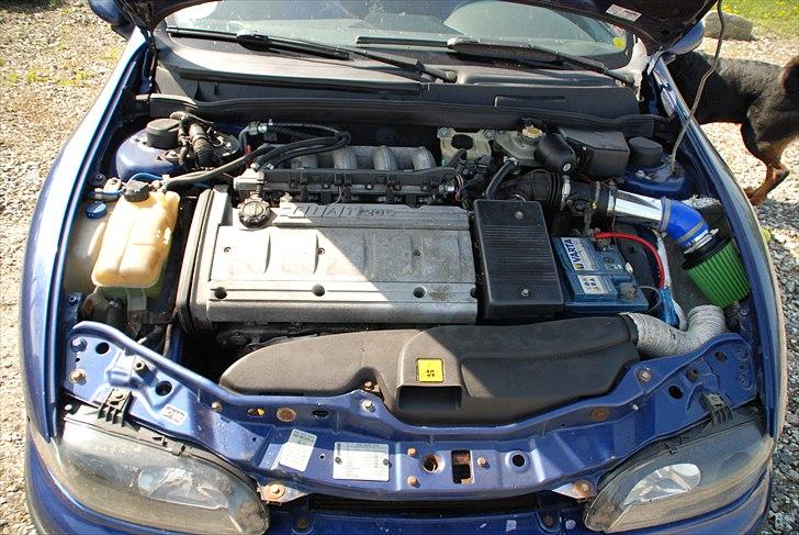 Fiat Bravo HGT  billede 2