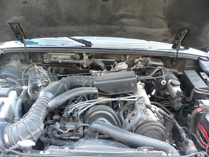 Ford Ranger billede 8