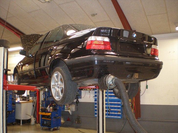 BMW E36 318i billede 2