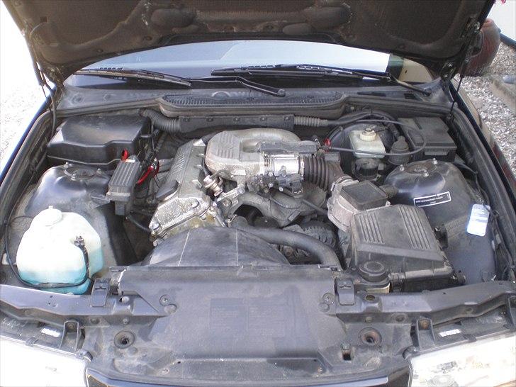 BMW E36 318i billede 11
