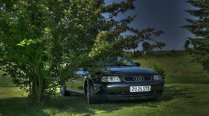 Audi A3 8L billede 4