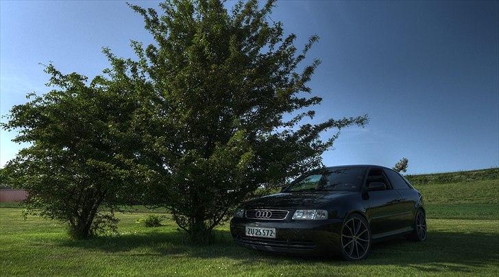 Audi A3 8L billede 2