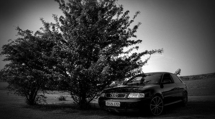 Audi A3 8L billede 1