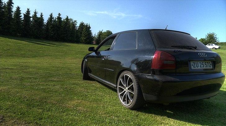 Audi A3 8L billede 6