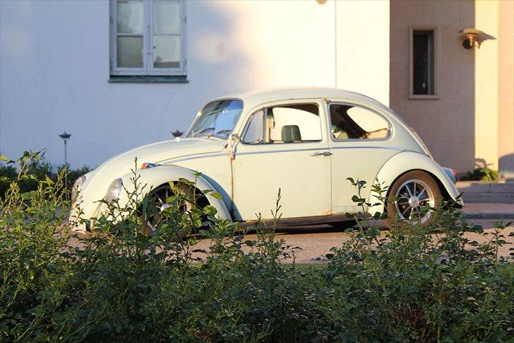 VW 113 De Luxe Bobbel billede 4