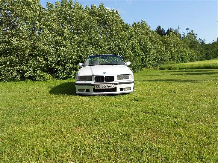 BMW 318i/is cabriolet (SOLGT) billede 2
