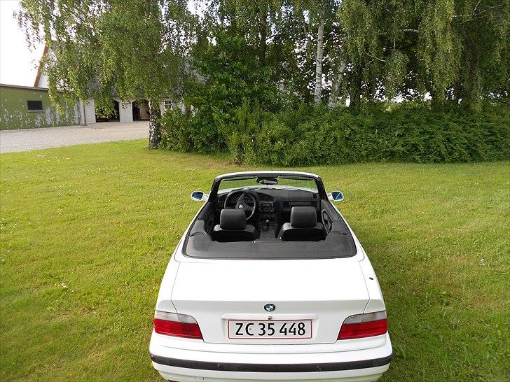 BMW 318i/is cabriolet (SOLGT) billede 5
