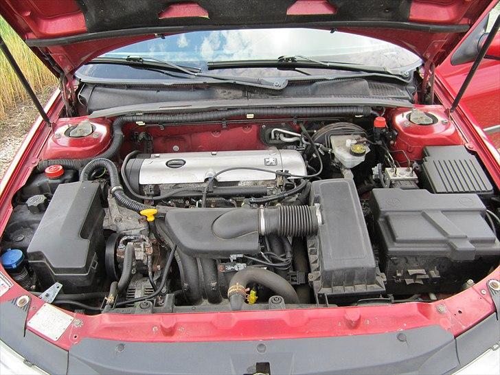 Peugeot 406 - Før rengøring billede 8
