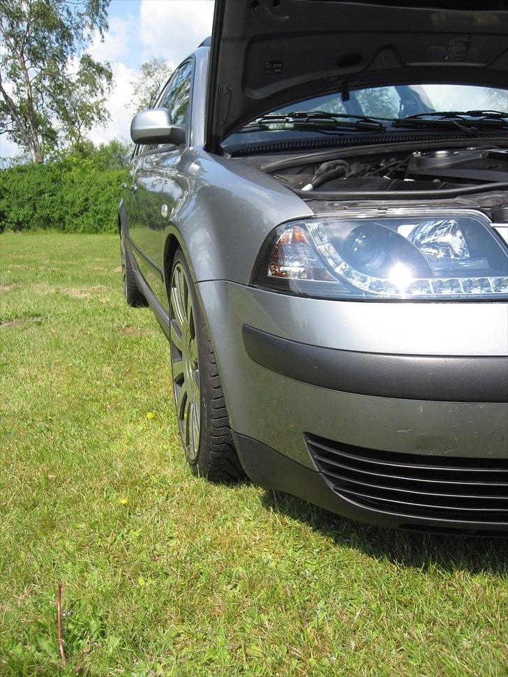 VW Passat 3bg TDI  billede 11