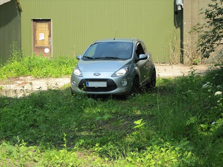 Ford Ka 1.2 trend+ billede 7