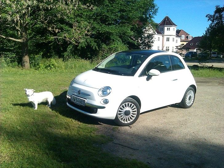 Fiat 500 Lounge billede 3