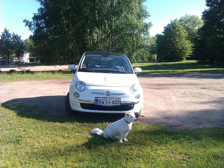 Fiat 500 Lounge billede 6