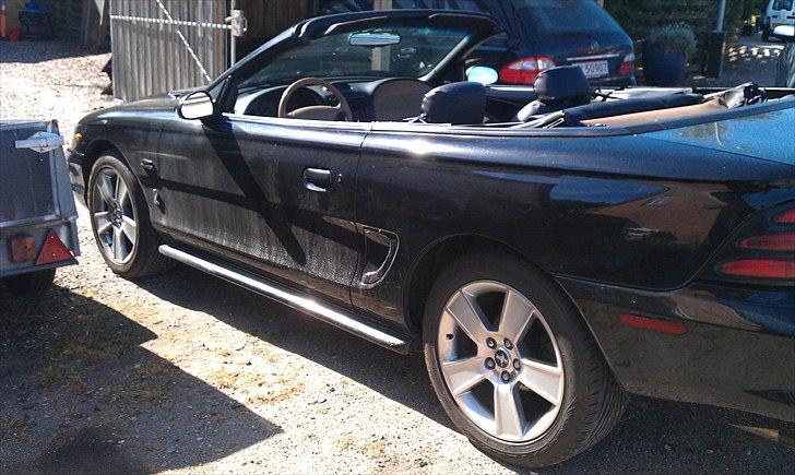 Ford Mustang gt 500 cobra cab billede 4